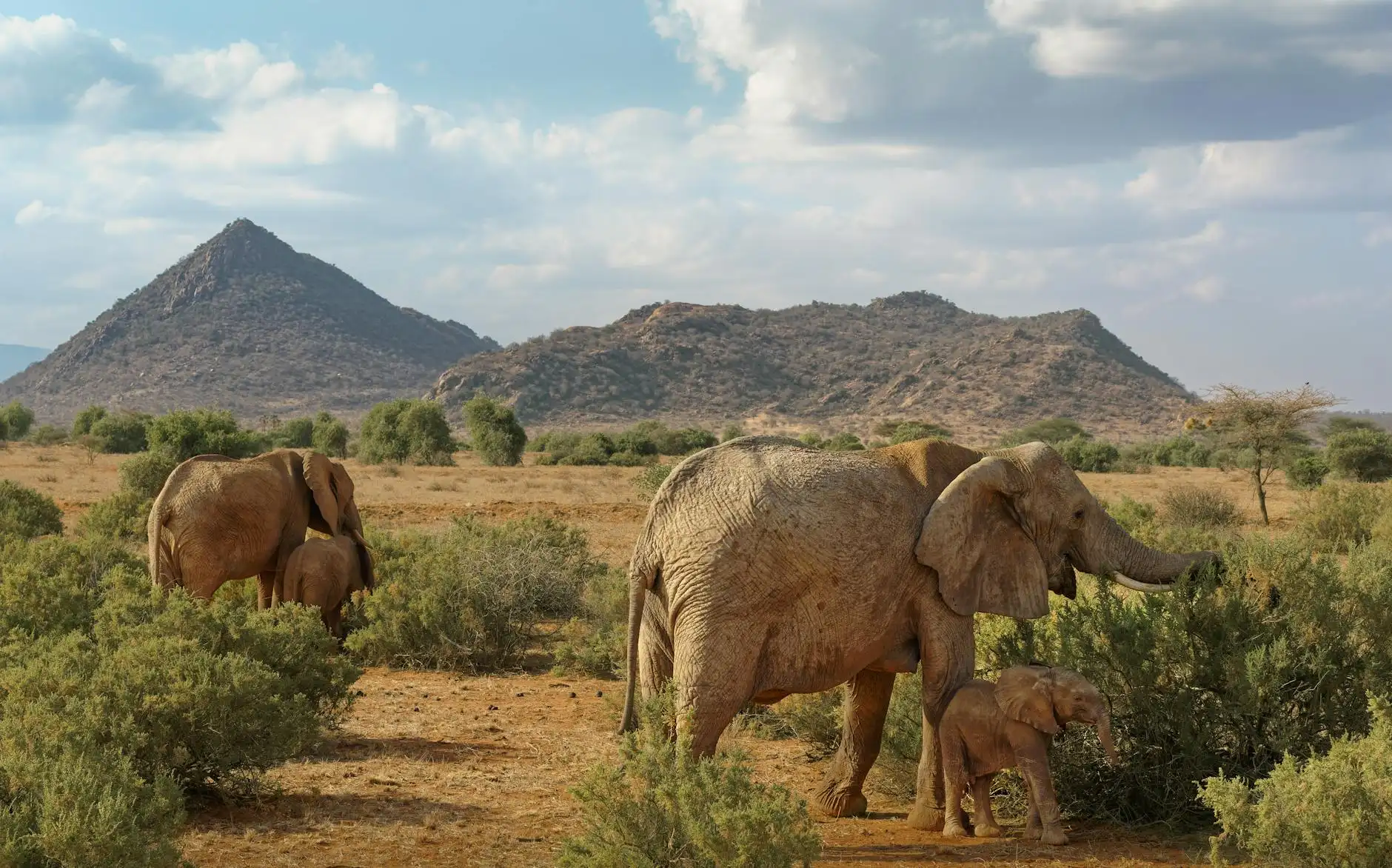 Марія Portfolio 8